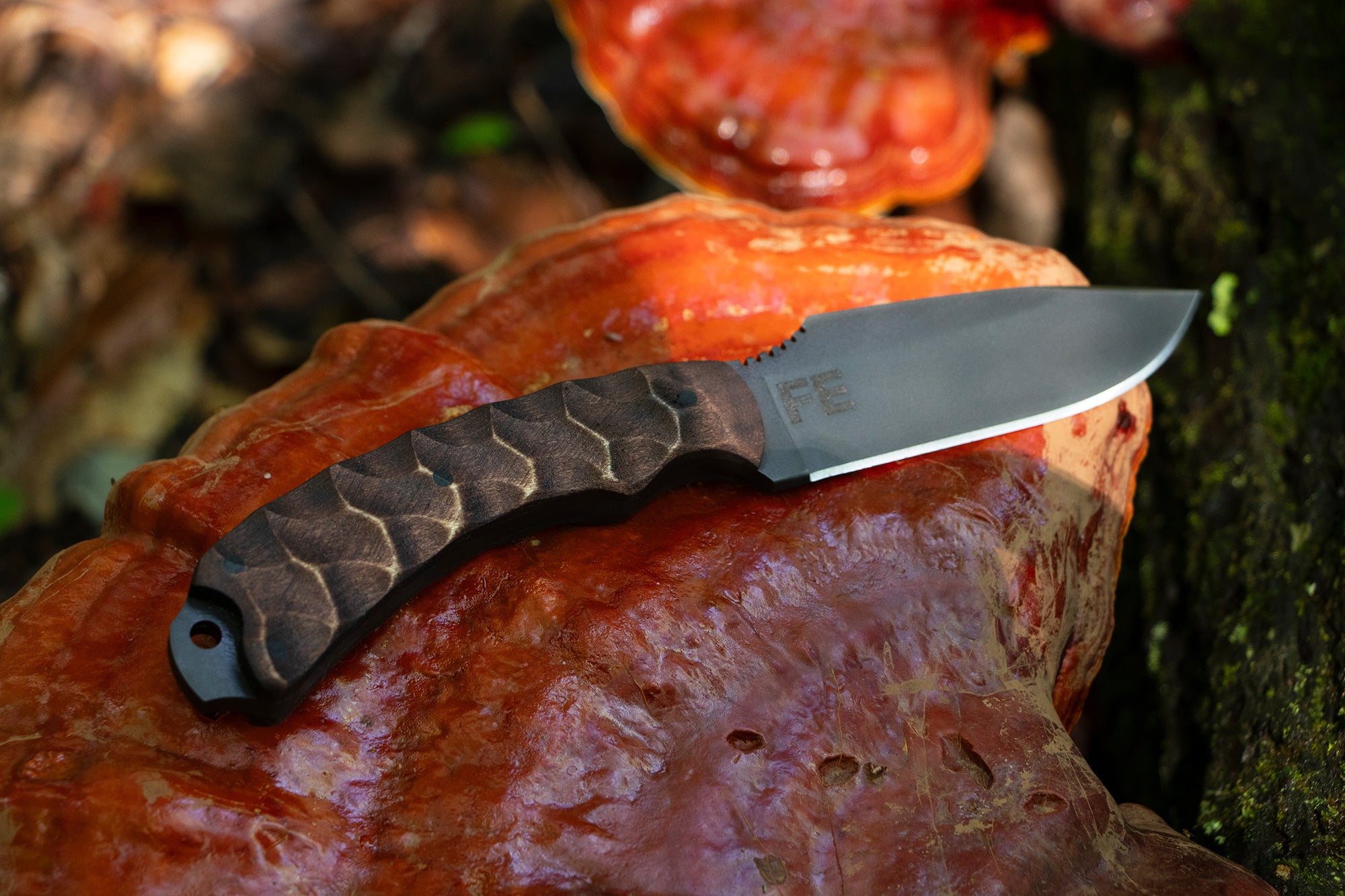 Houin x Winkler: Sweet T