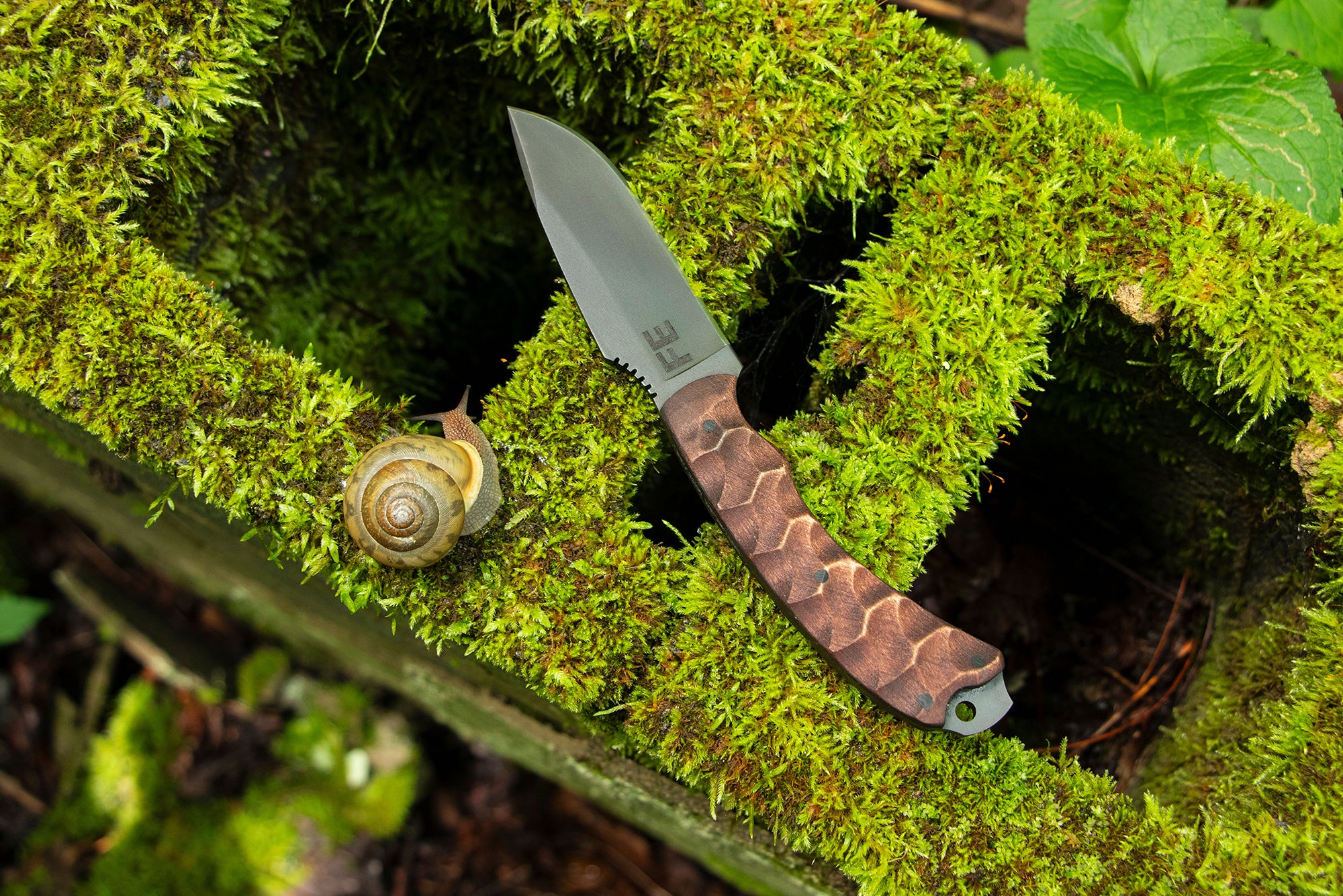 Houin x Winkler: Sweet T