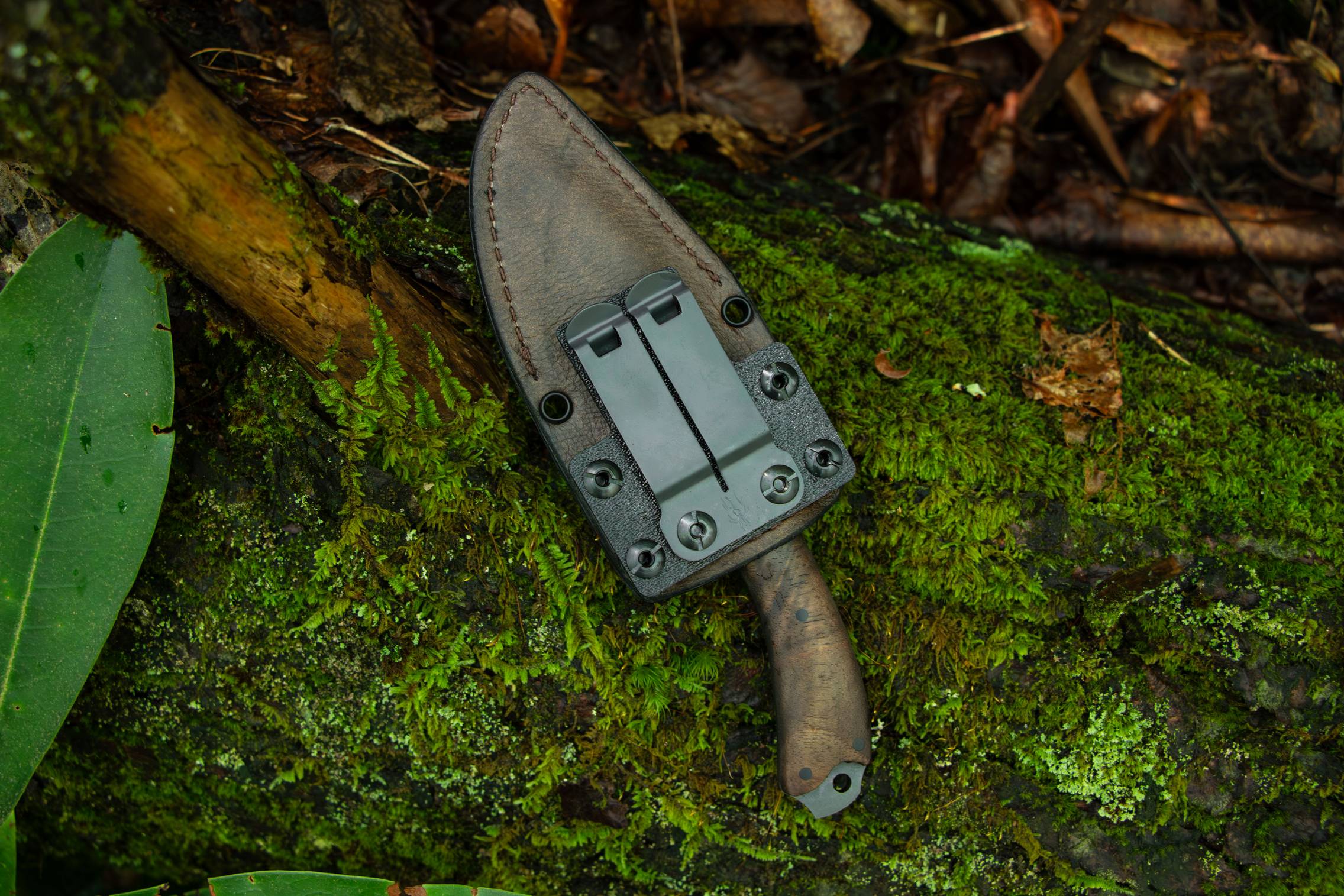 Houin x Winkler: Sweet T High Grade