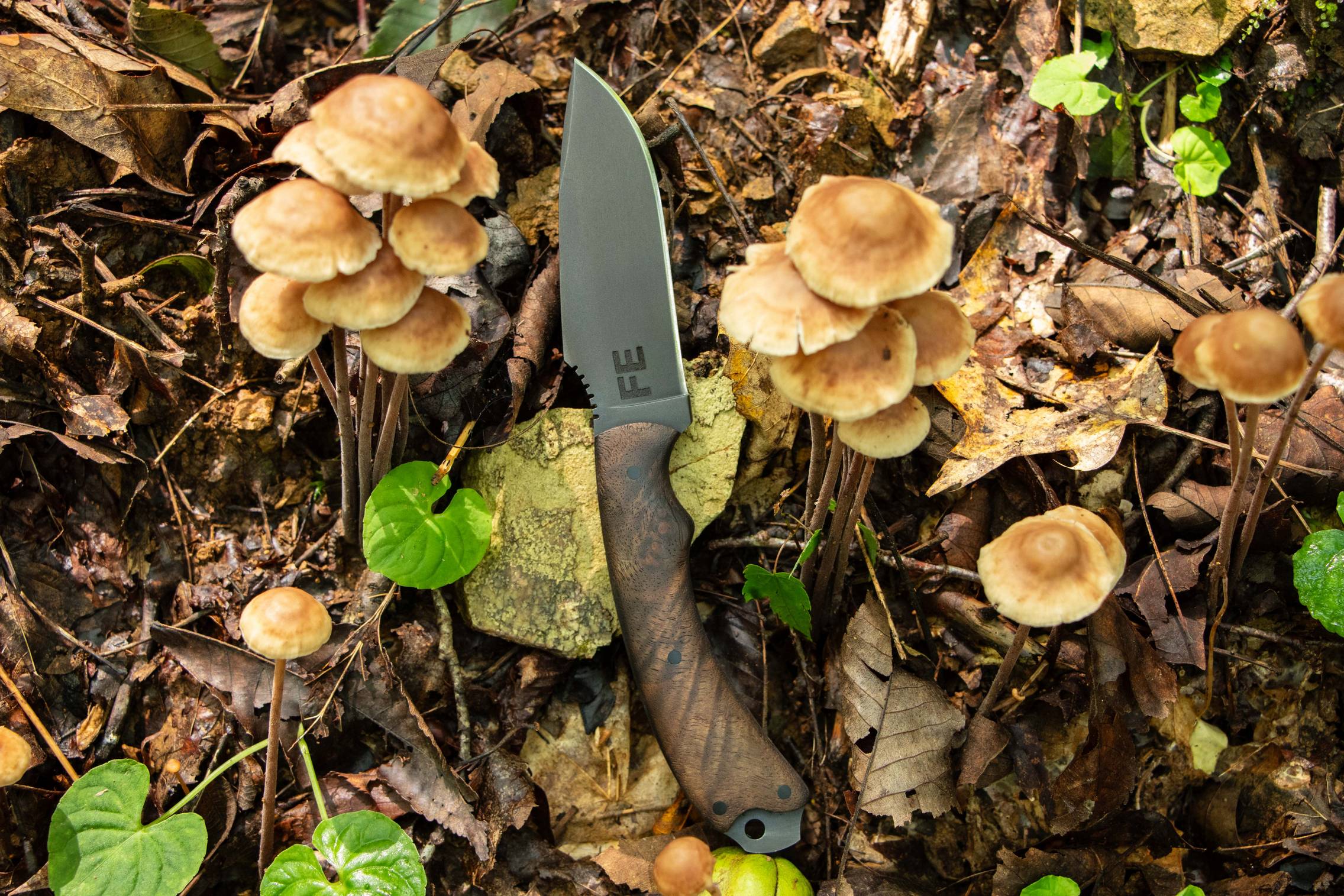 Houin x Winkler: Sweet T High Grade