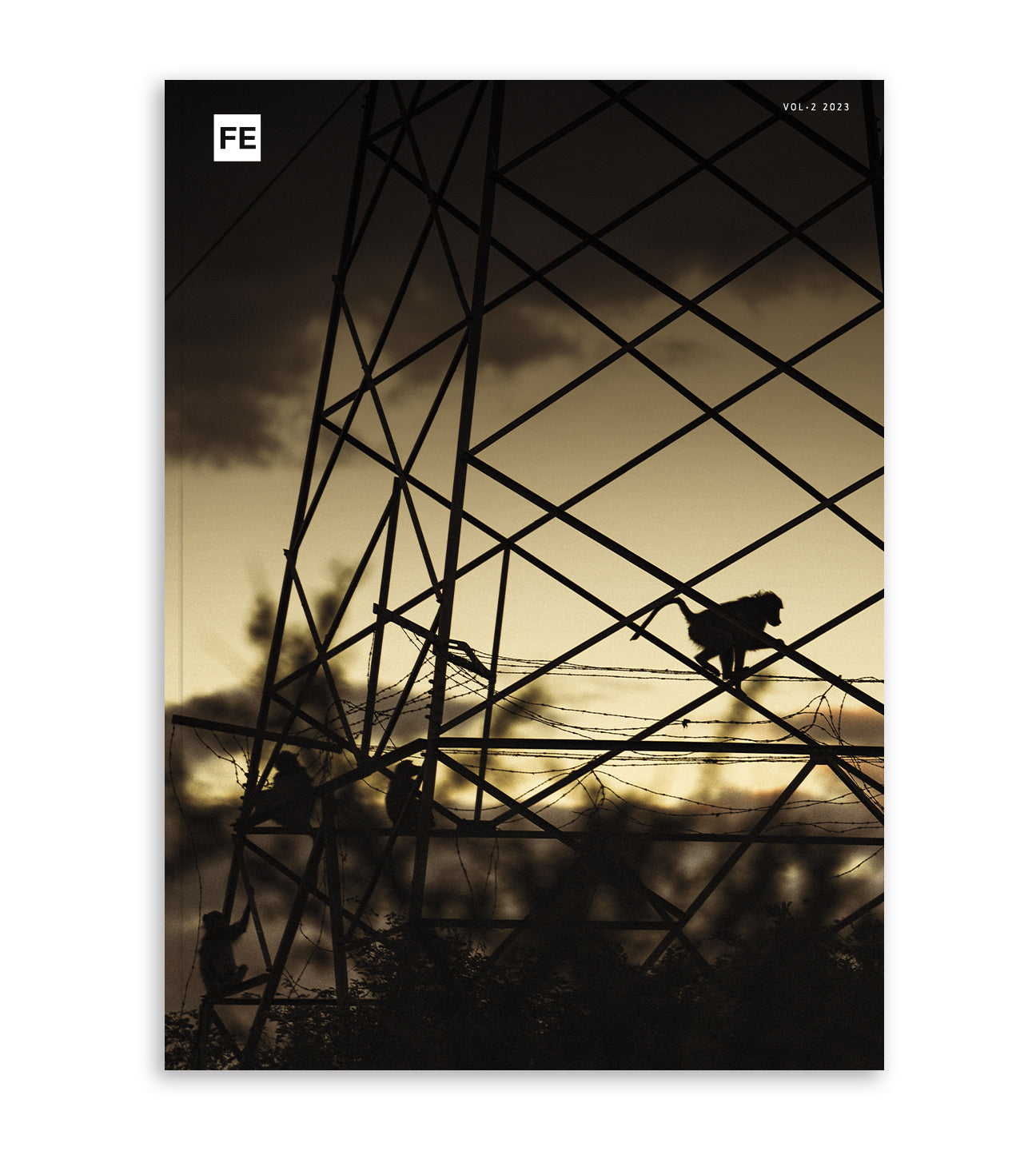 Archived Volumes - Single Issue Copies