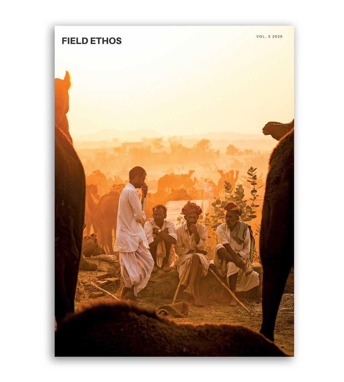 FE Journal Quarterly Subscription